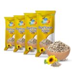 Hobby Raw Sunflower Seeds 100g, premium shelled sunflower seeds, protein and fiber rich superfood, natural healthy snack, suraj mukhi ke beej, vitamin E rich seeds.