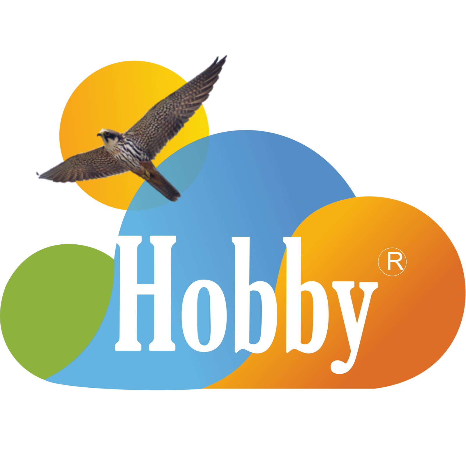 Hobby Logo