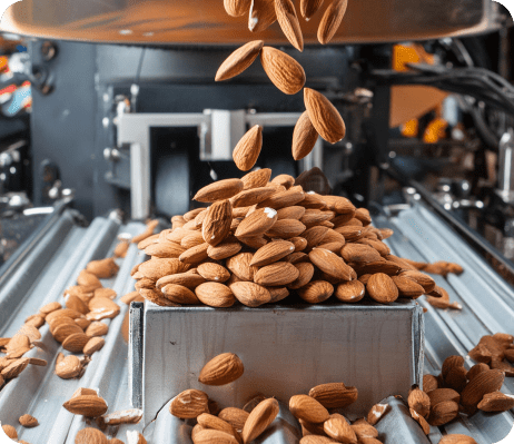 Processing Premium Almonds